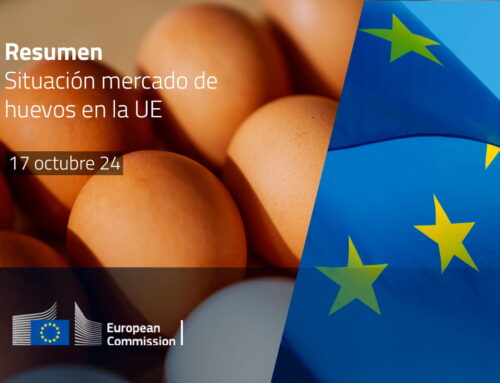 Situación mercado de huevos en la UE (octubre 24)