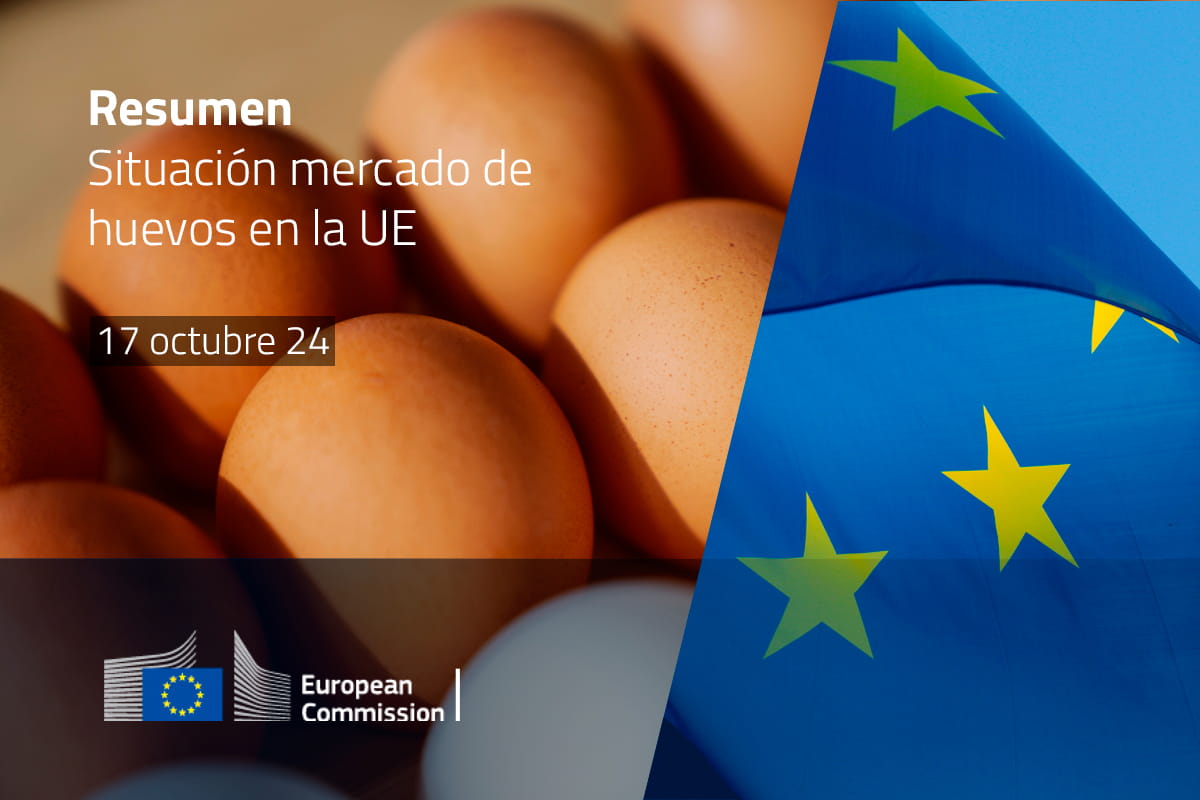 Resumen Informe Huevos UE 17 octubre 2024